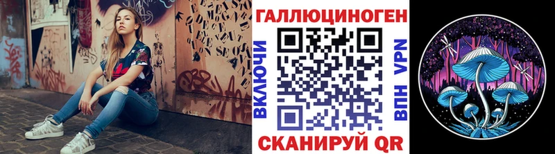 блэк спрут как зайти  купить  цена  Инза  Псилоцибиновые грибы Magic Shrooms 